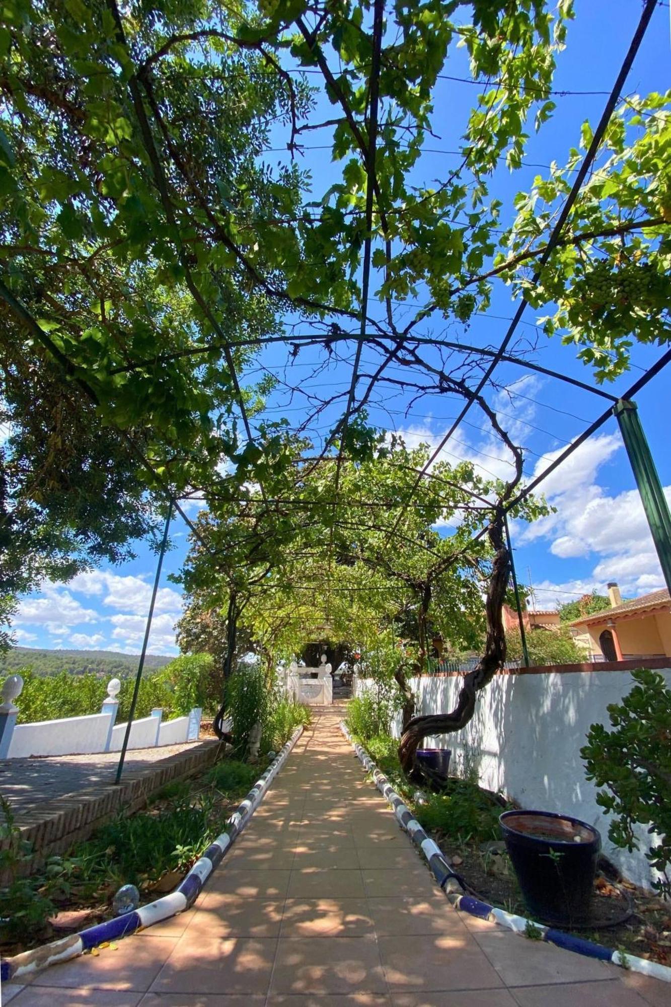 Casa Magnolia, A Rural Paradise House With Pool Alzira Extérieur photo