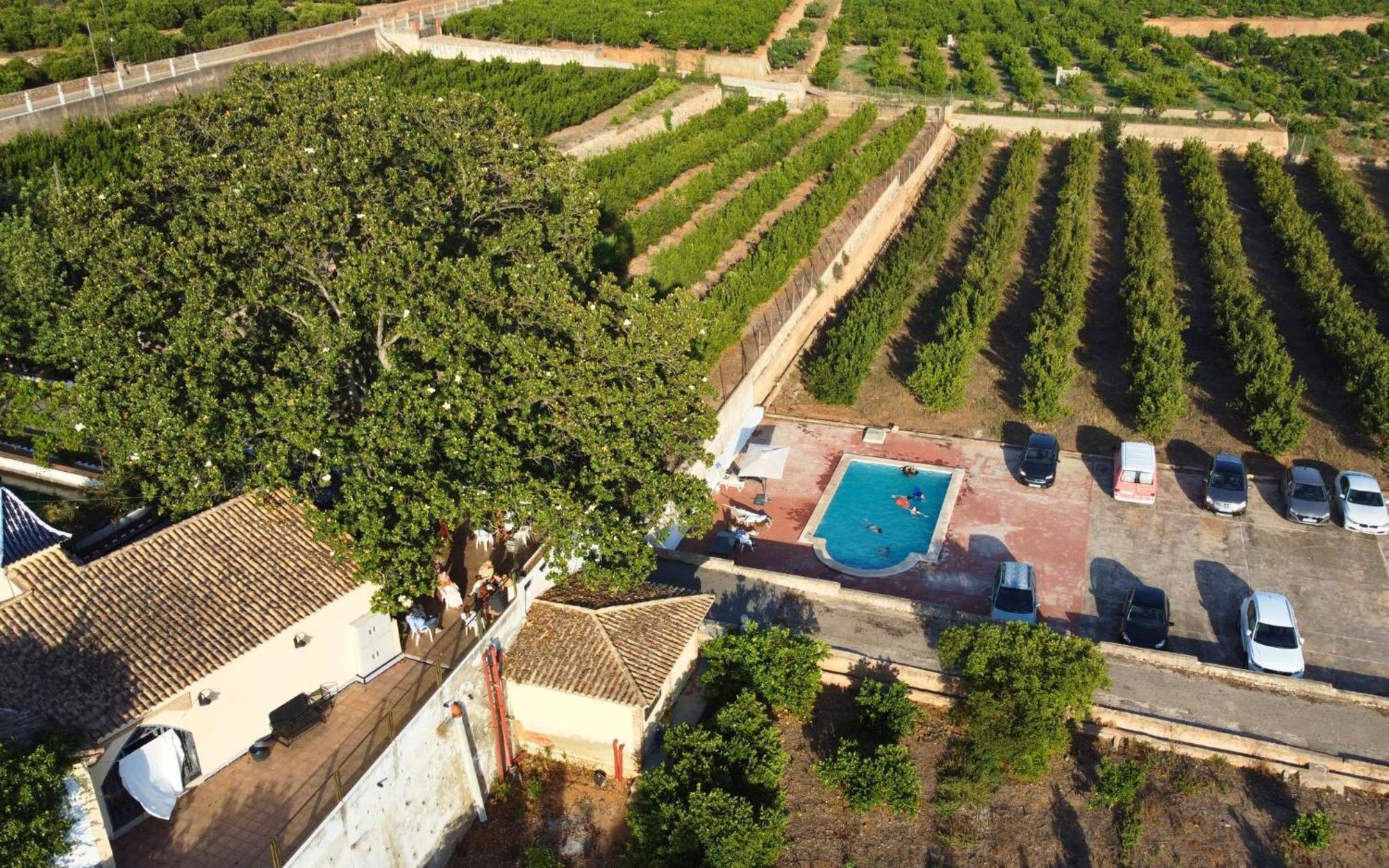 Casa Magnolia, A Rural Paradise House With Pool Alzira Extérieur photo