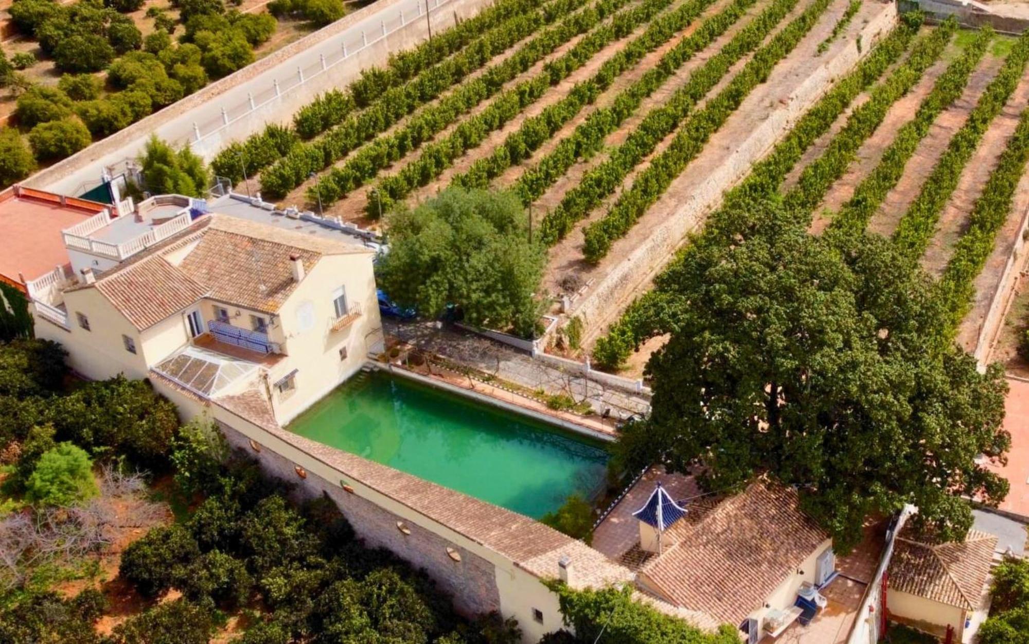 Casa Magnolia, A Rural Paradise House With Pool Alzira Extérieur photo