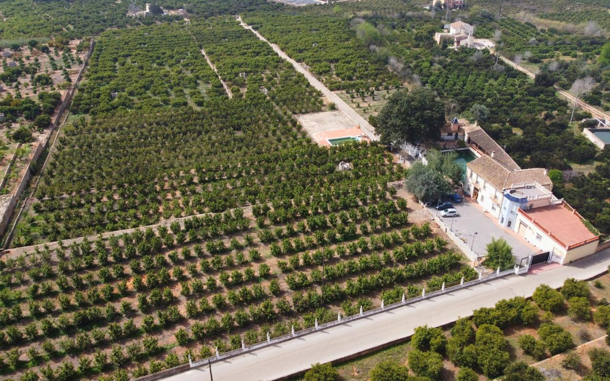 Casa Magnolia, A Rural Paradise House With Pool Alzira Extérieur photo