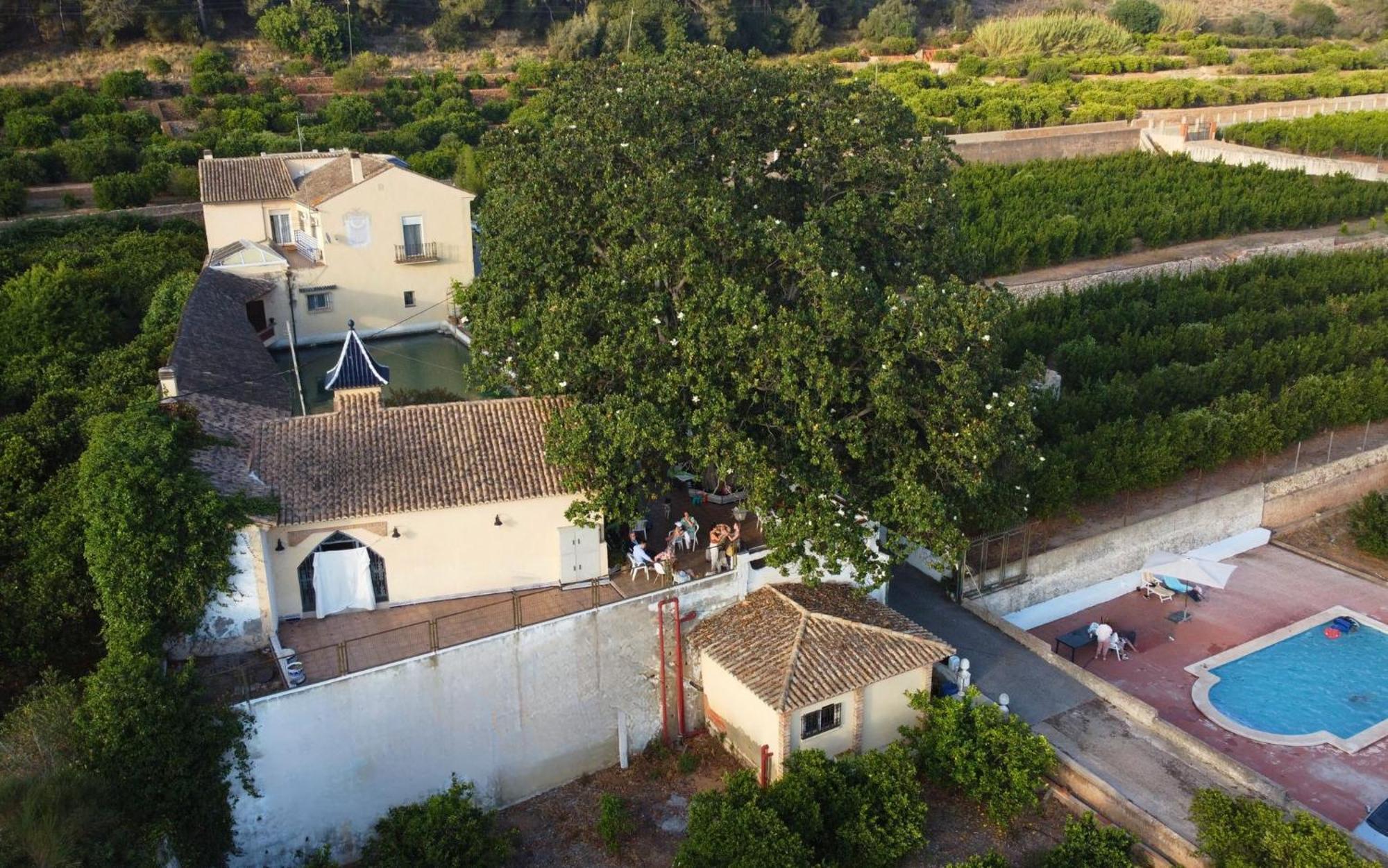 Casa Magnolia, A Rural Paradise House With Pool Alzira Extérieur photo